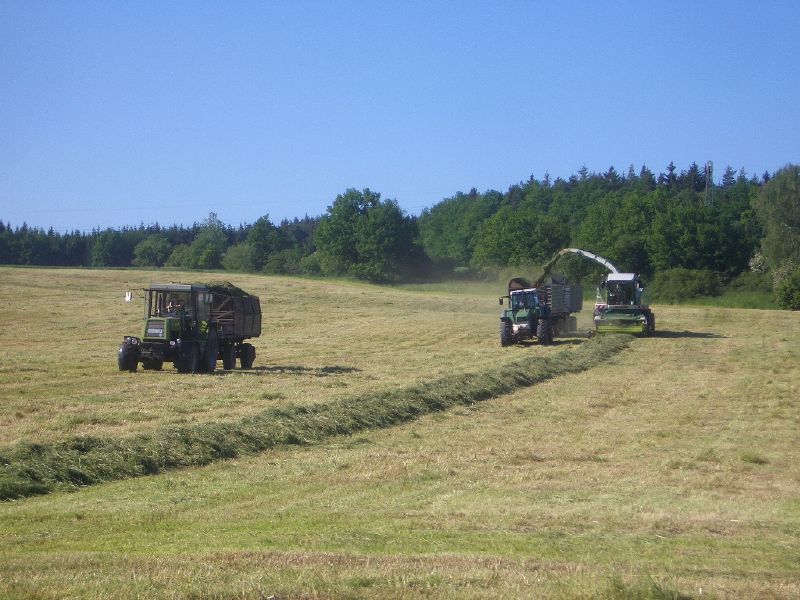 bilder/30_7_2002/fendt_824.jpg