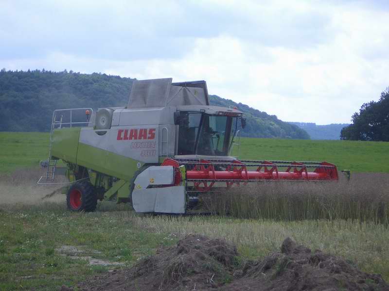 lexion_6.jpg