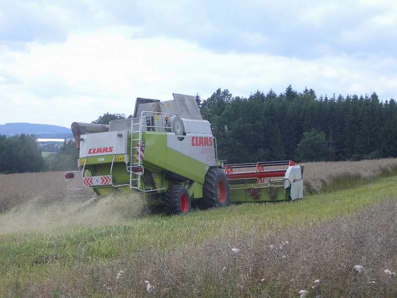 lexion_9.jpg