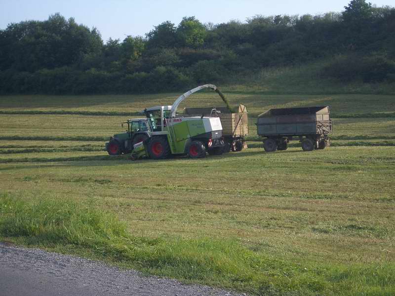 bilder/13_9_2005/jaguar_fendt_2.jpg