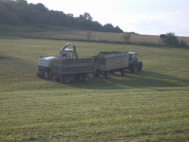 jaguar_fendt_4.jpg