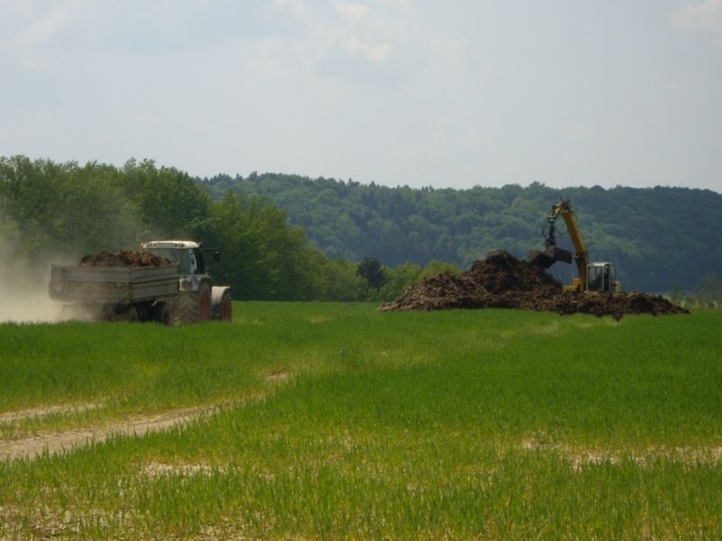 bilder/10_4_2002/terra_gator.jpg