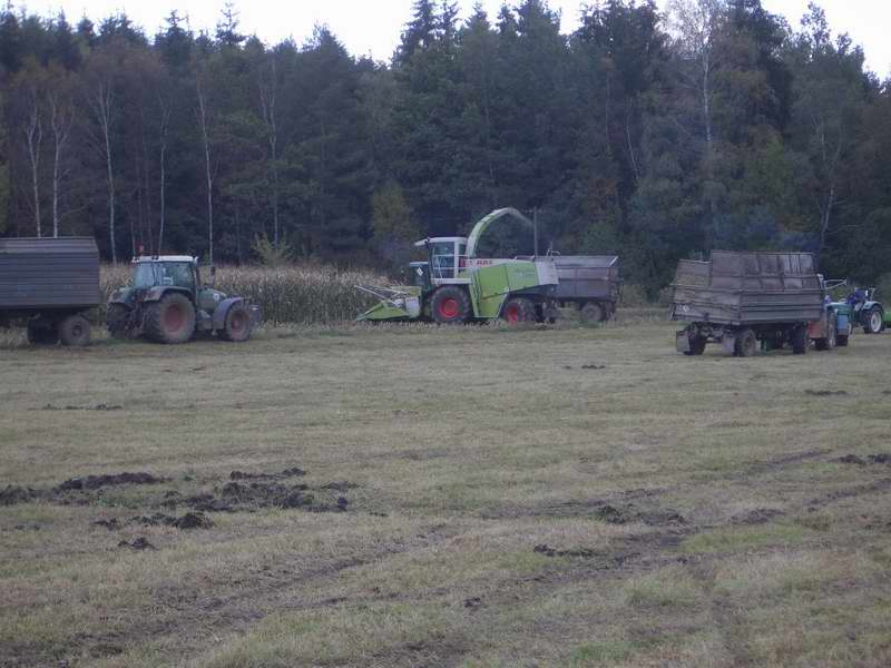 fendt_fendt_zt_323_zt_303.jpg