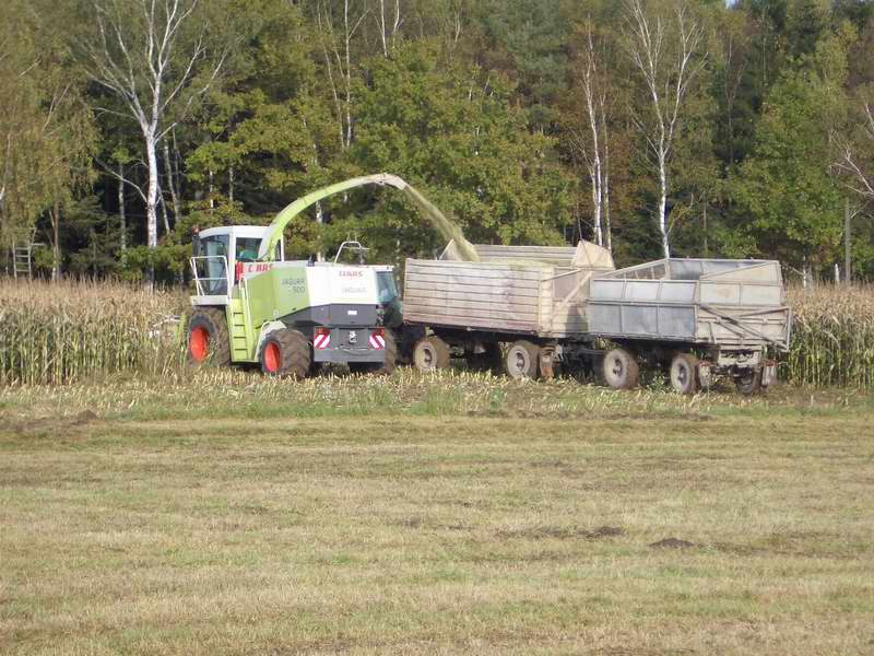 jaguar_fendt_16.jpg