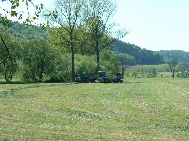 jaguar_880_+_fendt_514_2.jpg