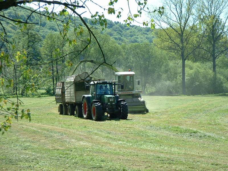 jaguar_880_+_fendt_514_3.jpg