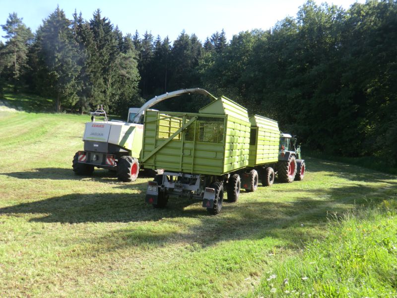 bilder/16_7_2011/CIMG3125.jpg