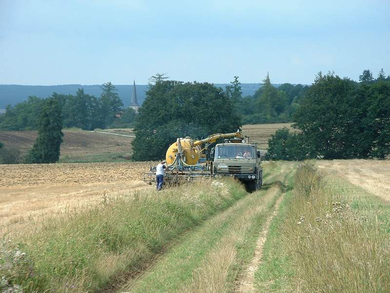 bilder/16_8_2002_1/terra_gator_+_tatra.jpg