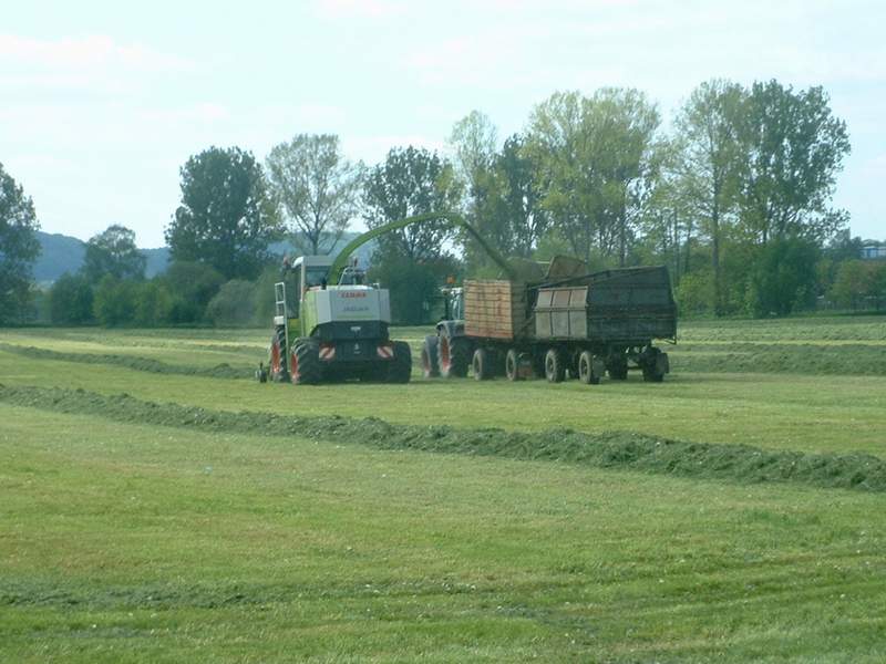 jaguar_fendt_20.jpg