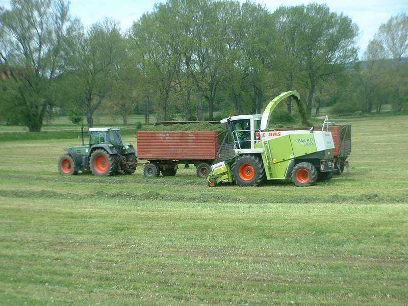 jaguar_fendt_8.jpg