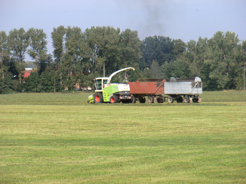 bilder/29_8_2005/lexion_2x_mega_5.jpg