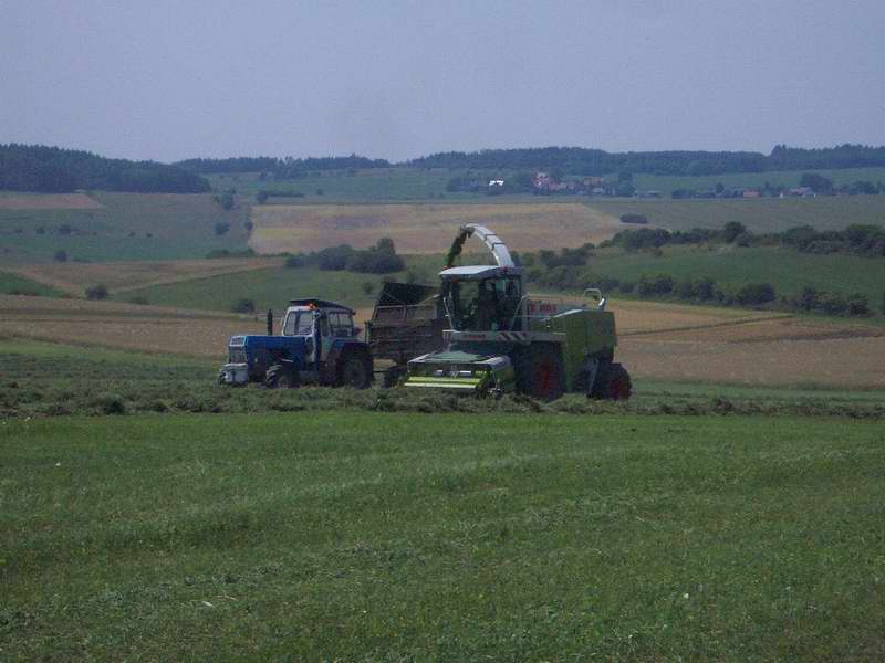 bilder/28_8_2002/xerion.jpg