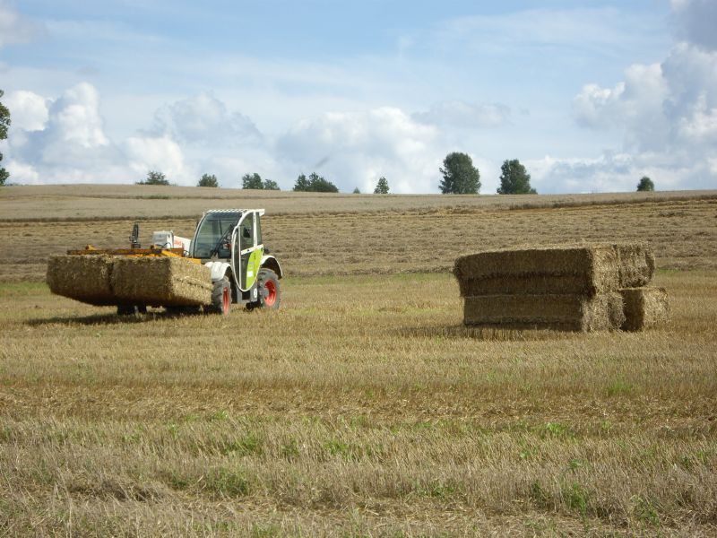 bilder/16_9_2002/jaguar_+_fendt_824_4.jpg