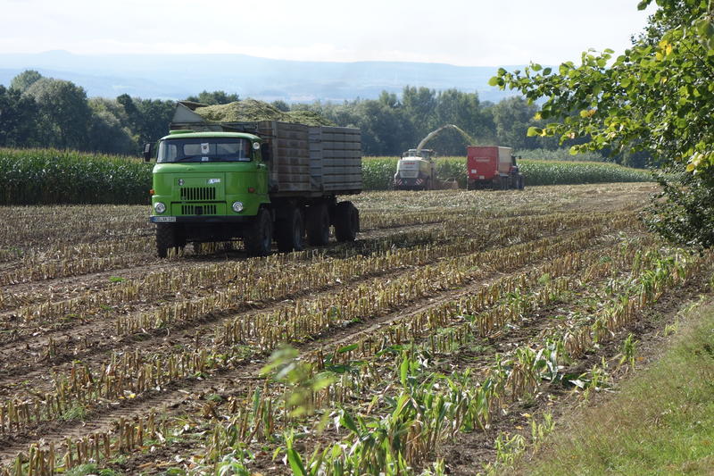 bilder/5_7_2002_2/jaguar_900_+_fendt_514_8.jpg