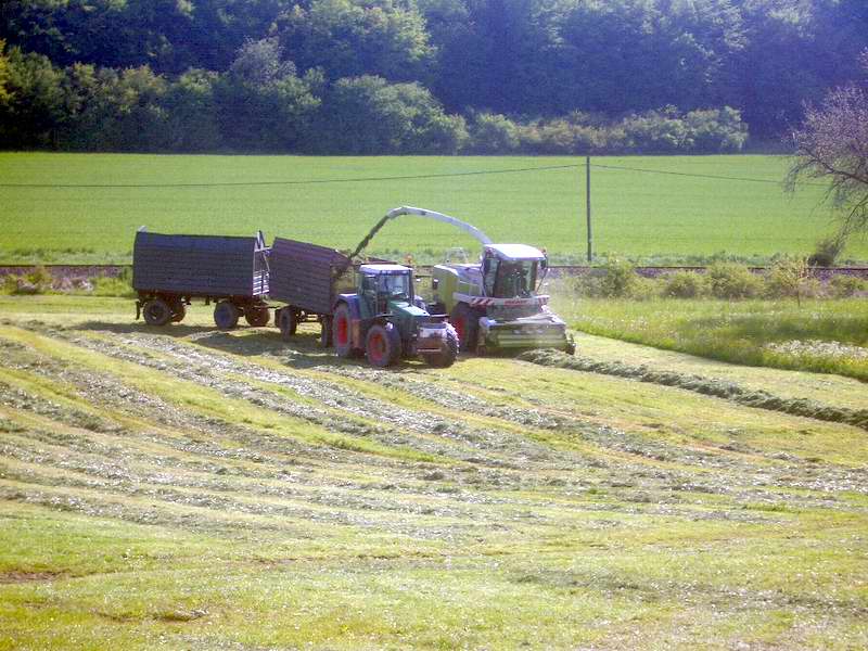 bilder/19_5_2005/jaguar_fendt_824_7.jpg