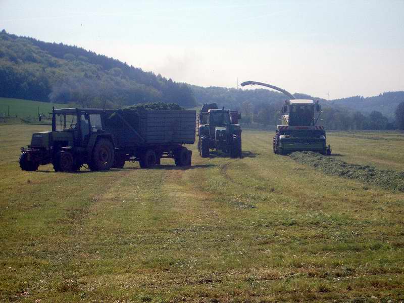 jaguar_fendt_824_zt_323.jpg