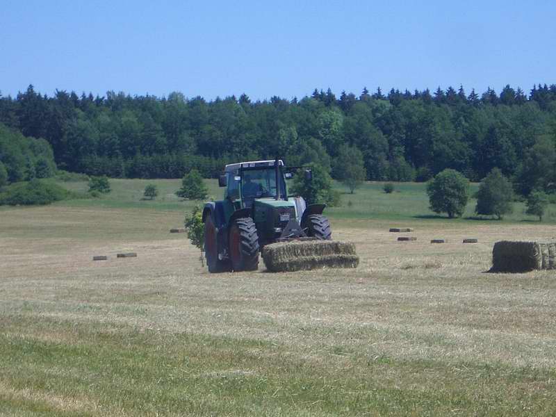 fendt_824.jpg