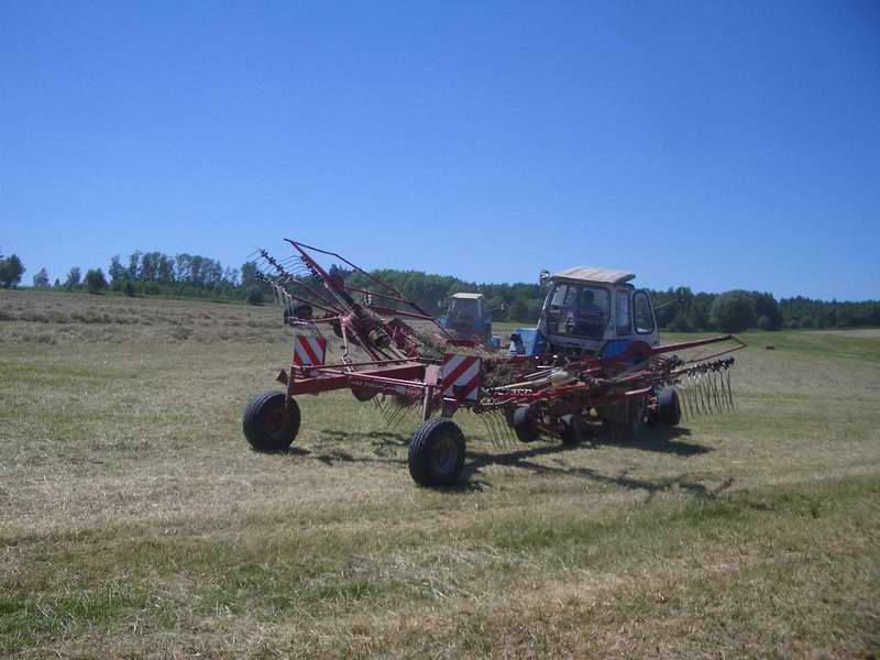 bilder/29_7_2005/terra_gator_7.jpg