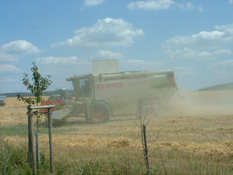 bilder/19_7_2003/lexion_+_fendt_824.jpg