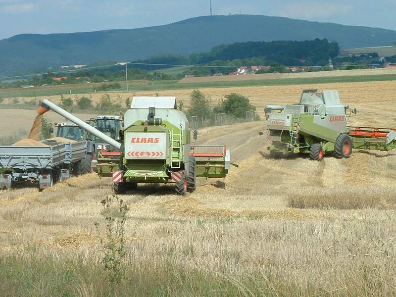 lexion_+_mega_2x_fendt_824.jpg