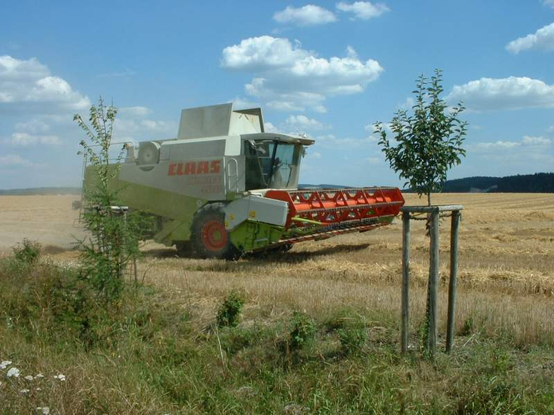 lexion_4.jpg