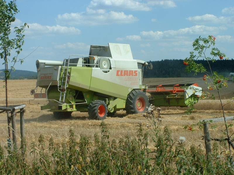 lexion_7.jpg