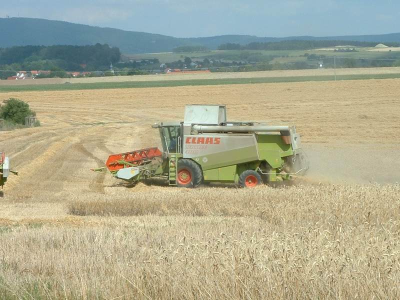 lexion_8.jpg