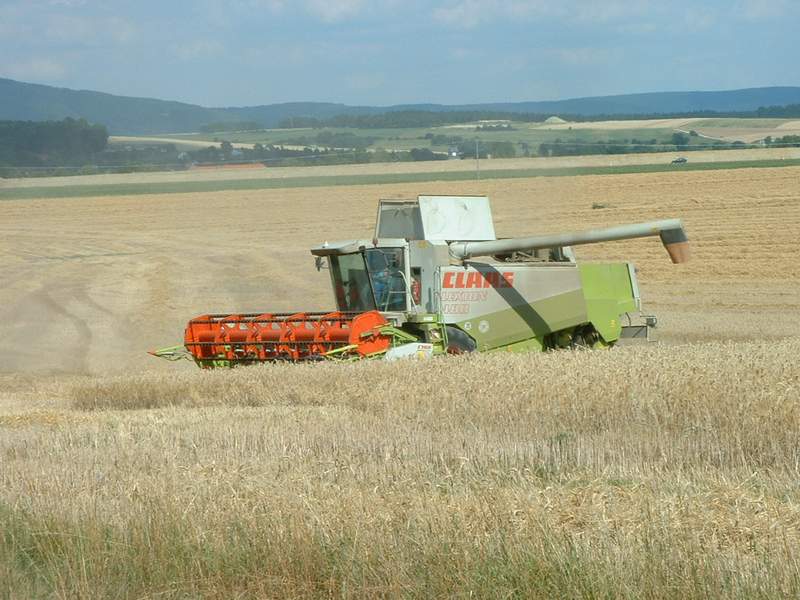 lexion_9.jpg