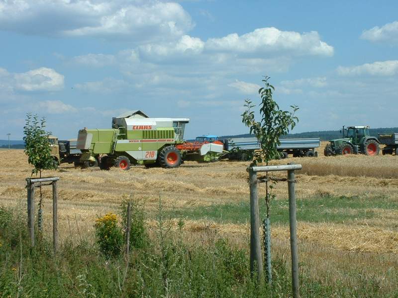 mega_+_l60_+_w50_+_fendt_824.jpg