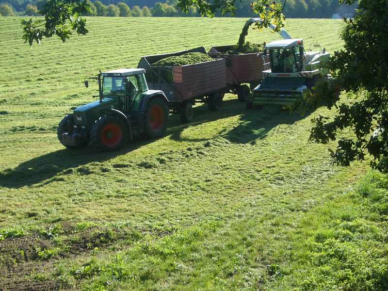 jaguar_fendt_17.jpg