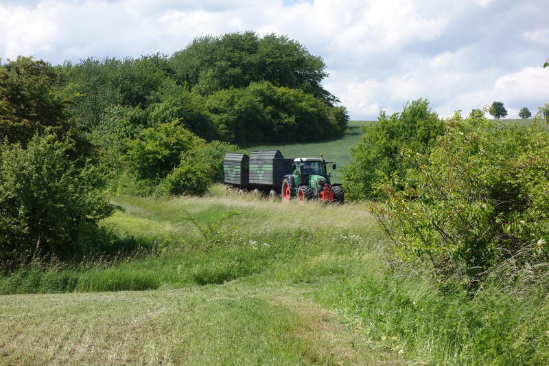 bilder/24_9_2002/jaguar_+_fendt_716_2.jpg