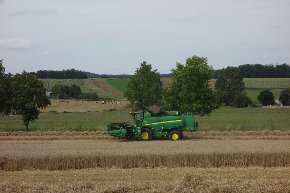 bilder/19_7_2003_2/lexion_6.jpg