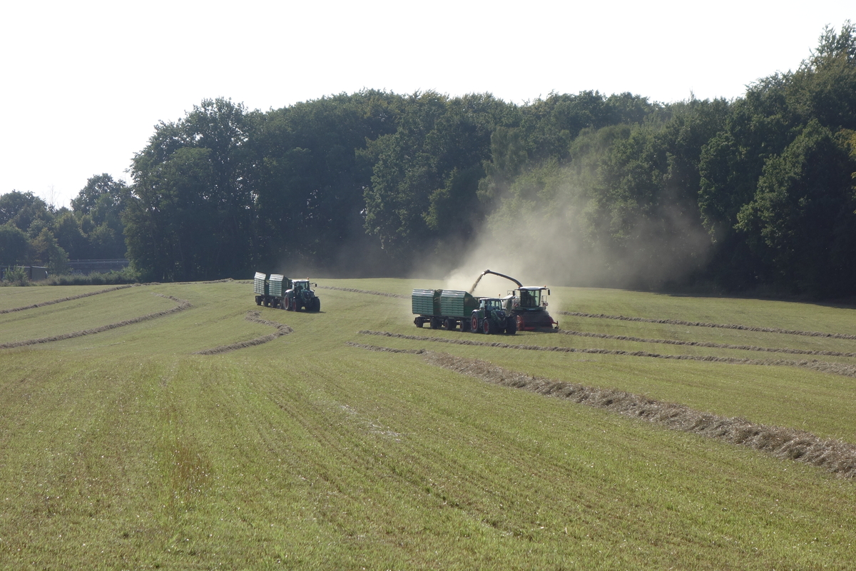 bilder/16_5_2005/fendt_716_25.jpg