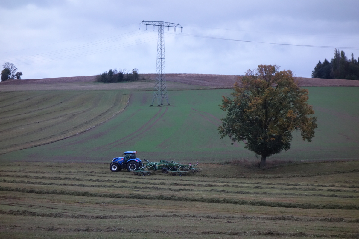 bilder/13_8_2002/fendt_716.jpg