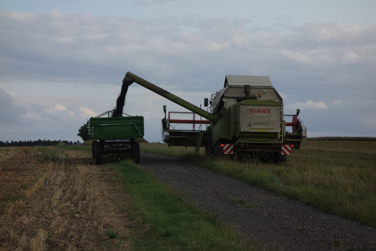 bilder/16_5_2003/fendt_716.jpg