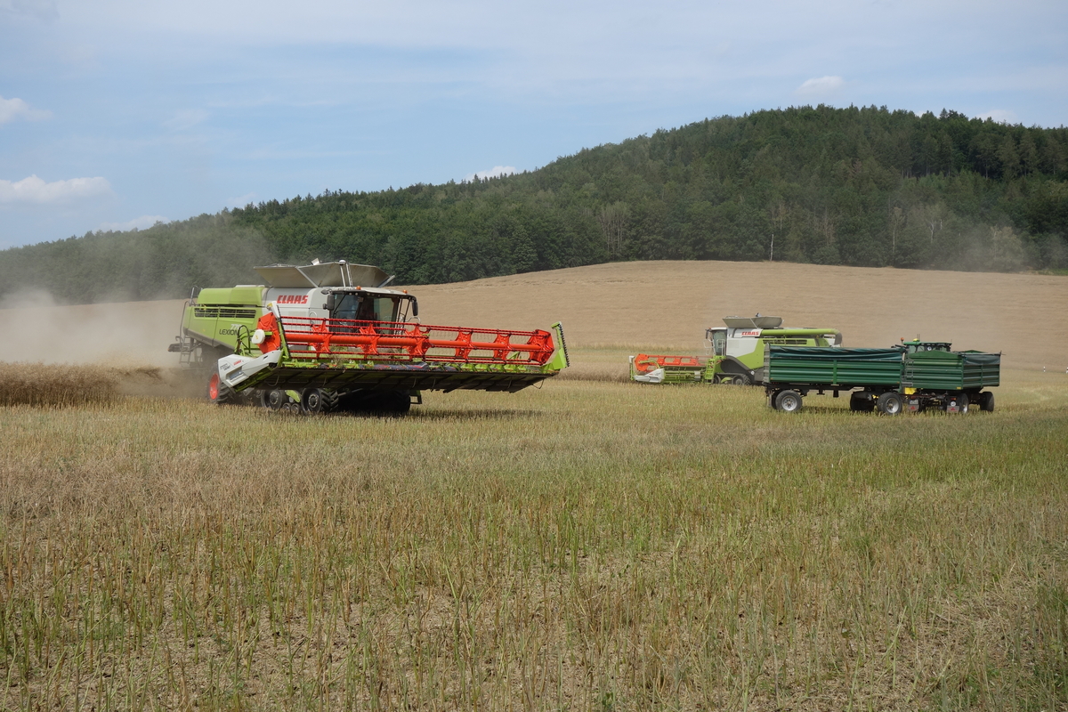 bilder/15_5_2002/jaguar_900_+_fendt_824.jpg