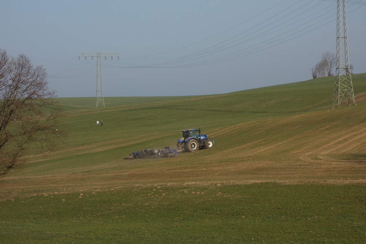 DSC00086.jpg