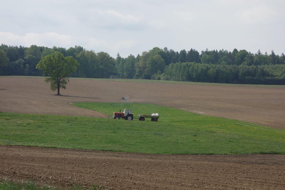 bilder/2025_05_03/DSC00181.jpg