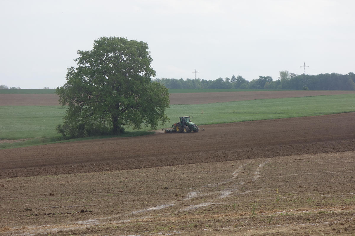 bilder/18_7_2003/fendt_716.jpg