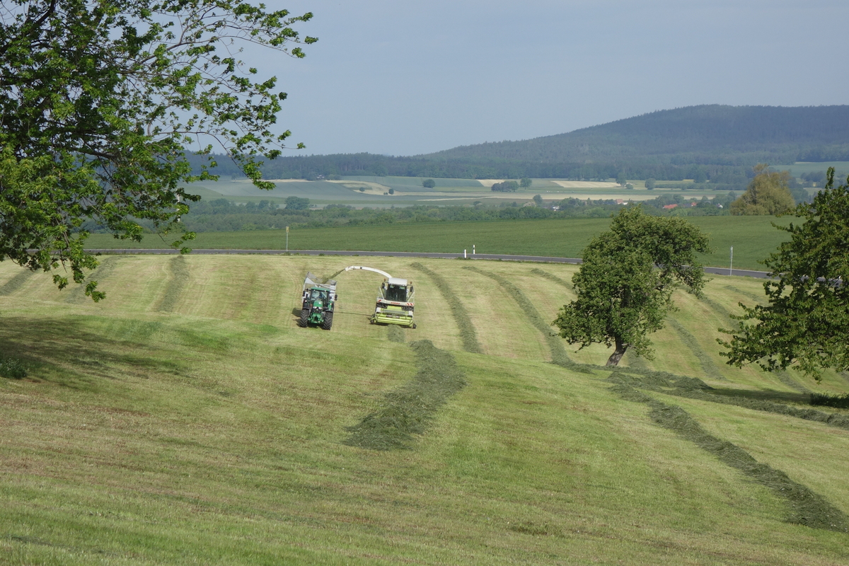bilder/2025_05_16/DSC00300.jpg