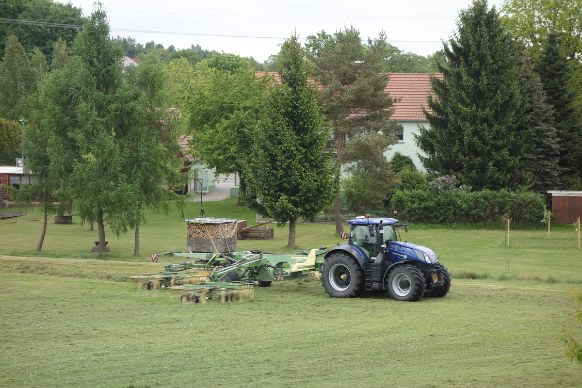 bilder/2025_05_17/DSC00358.jpg