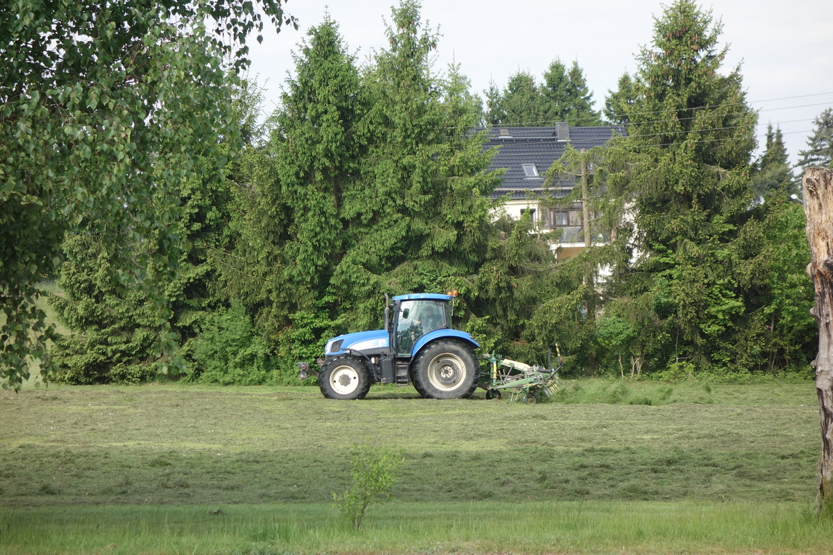 bilder/14_10_2022/DSC04327.jpg