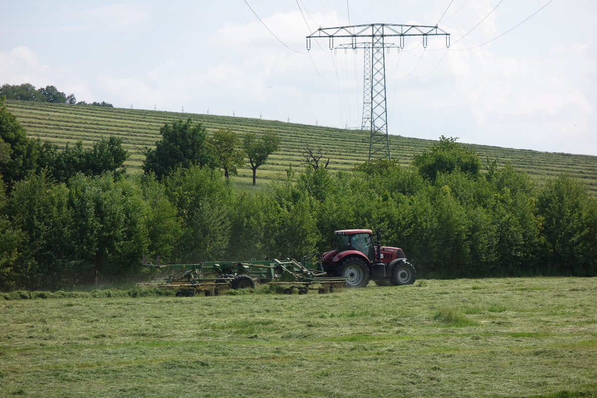 bilder/6_8_2017/DSC09601.jpg