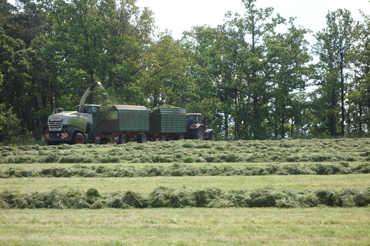 bilder/14_4_2005_2/fendt_824_fendt_716_fendt_514.jpg
