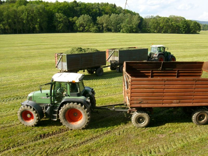 bilder/30_7_2004/lexion_mega_fendt.jpg