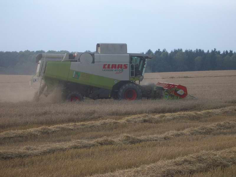 bilder/22_8_2005/lexion_21.jpg