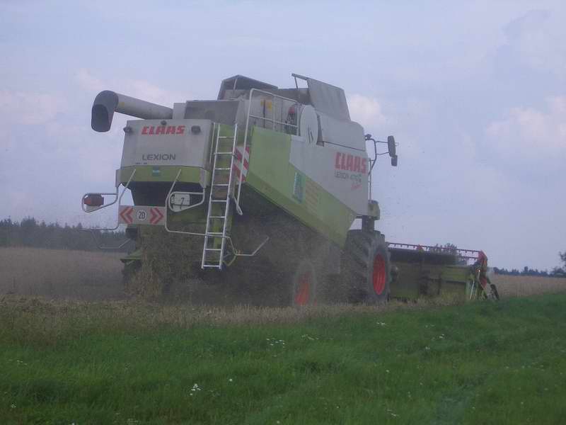 lexion_5.jpg