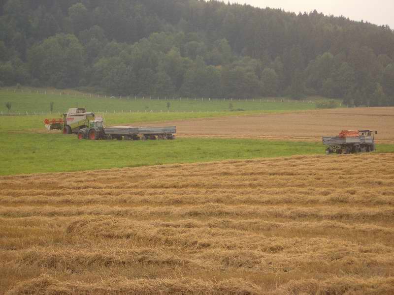 bilder/22_8_2005/lexion_fendt_zt_323_3.jpg