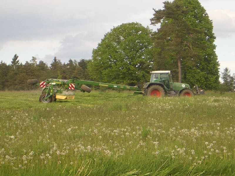 bilder/24_5_2005/fendt_716_12.jpg