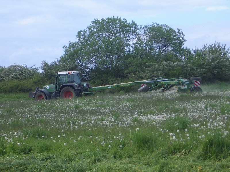 fendt_716_2.jpg